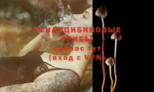 мяу мяу мука Армянск