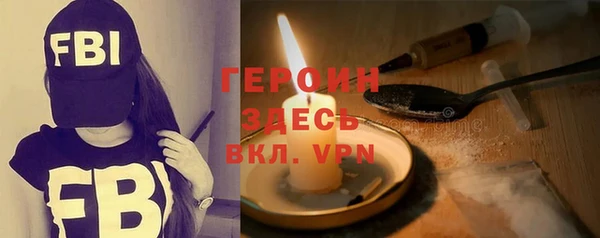 индика Алексин