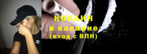 индика Алексин
