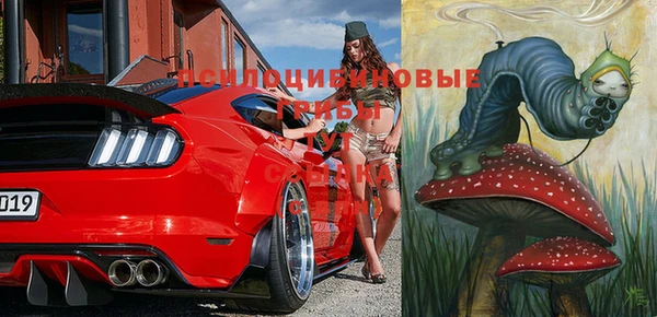 индика Алексин