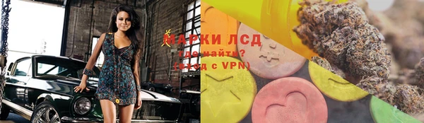 индика Алексин