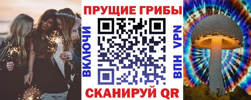 Псилоцибиновые грибы Psilocybe  дарнет шоп  Ухта 